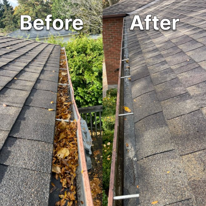Gutter Cleaning London ontario before and after
