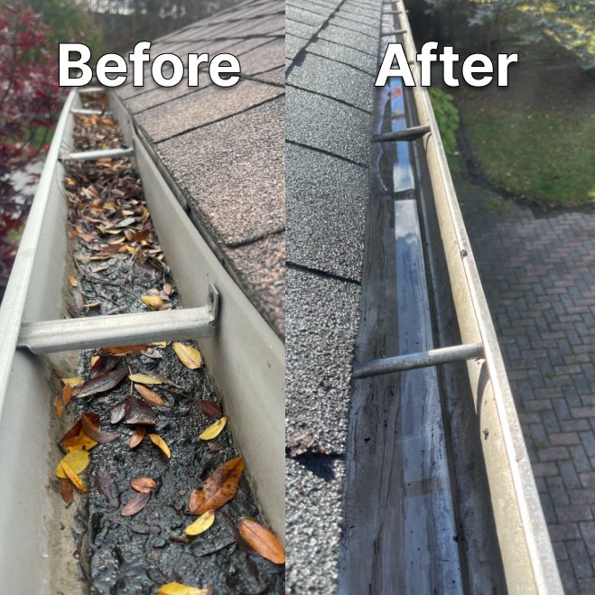 Gutter Cleaning London ontario before and after